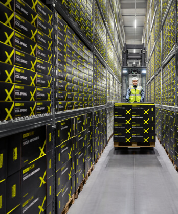 Warehouse with RIDEX parts