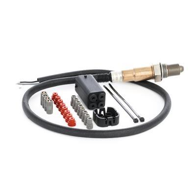 Intake and Exhaust system