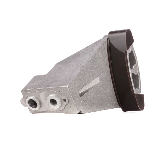 Guides, timing chain