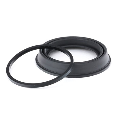 Carrier, brake caliper